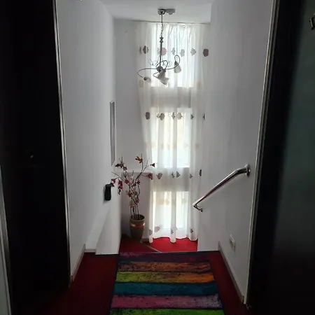 Pensiunea Riccardo ゲストハウス