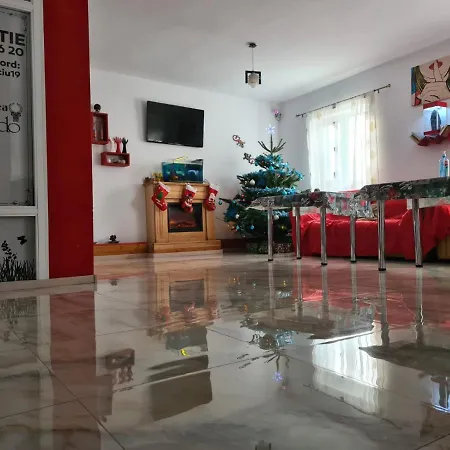 Gæstehus Pensiunea Riccardo 3*