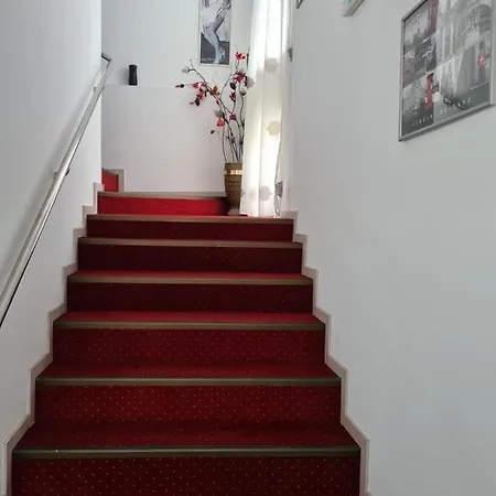 Pensiunea Riccardo Guest house 3*