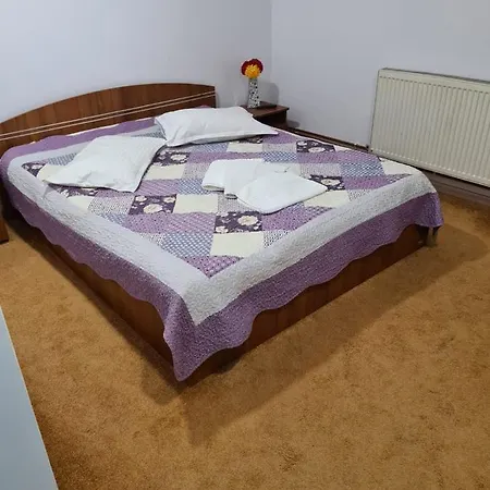 Pensiunea Riccardo Braşov