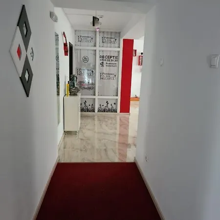 Gæstehus Pensiunea Riccardo