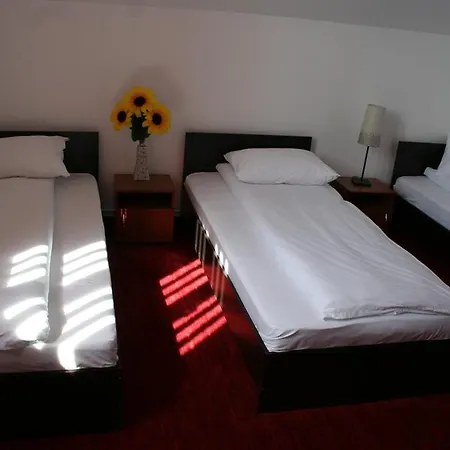 Pensiunea Riccardo ゲストハウス