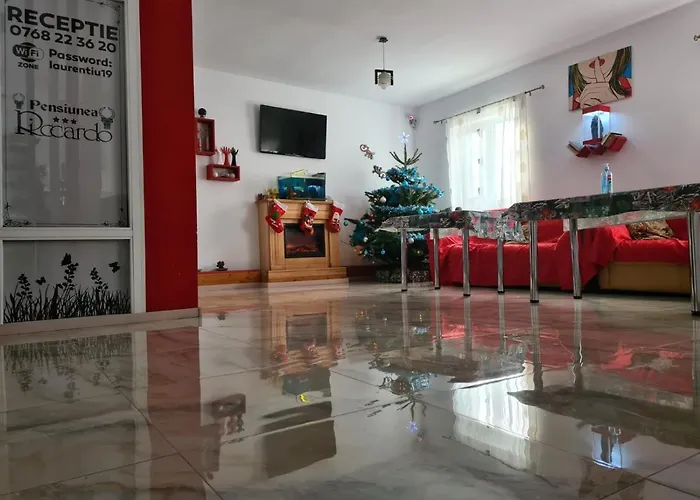 Guest house Pensiunea Riccardo 3*