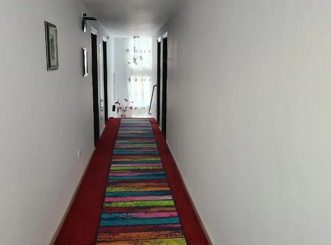 Guest house Pensiunea Riccardo 3*