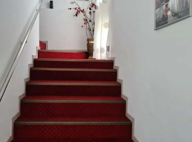 Pensiunea Riccardo Guest house 3*