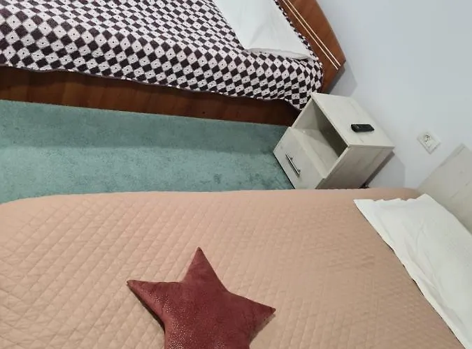 Pensiunea Riccardo Guest house