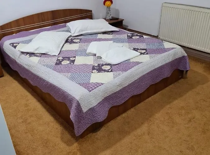 Pensiunea Riccardo Braşov