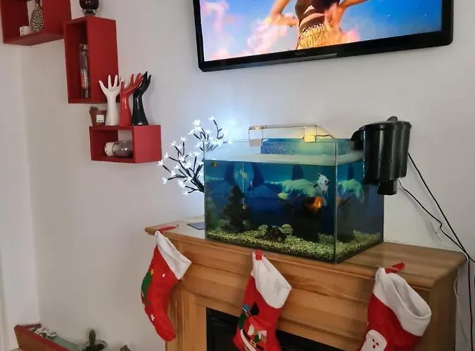 Pensiunea Riccardo Braşov