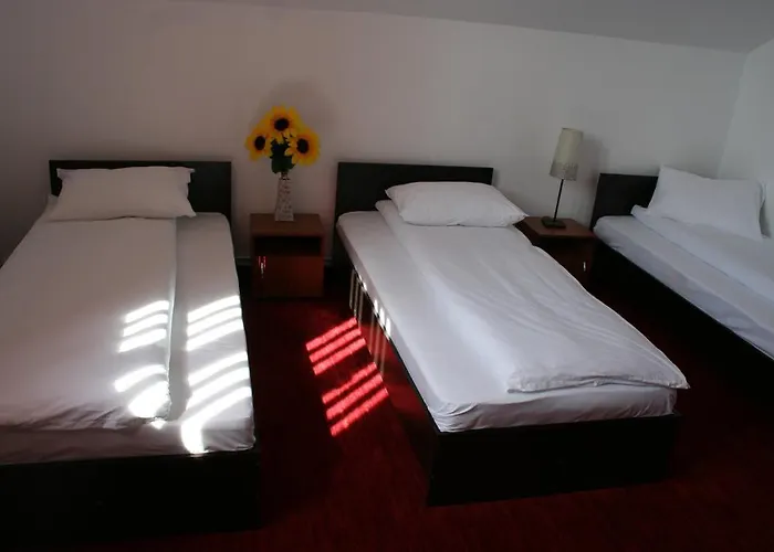 Pensiunea Riccardo Guest house